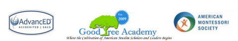 Good Tree Academy
